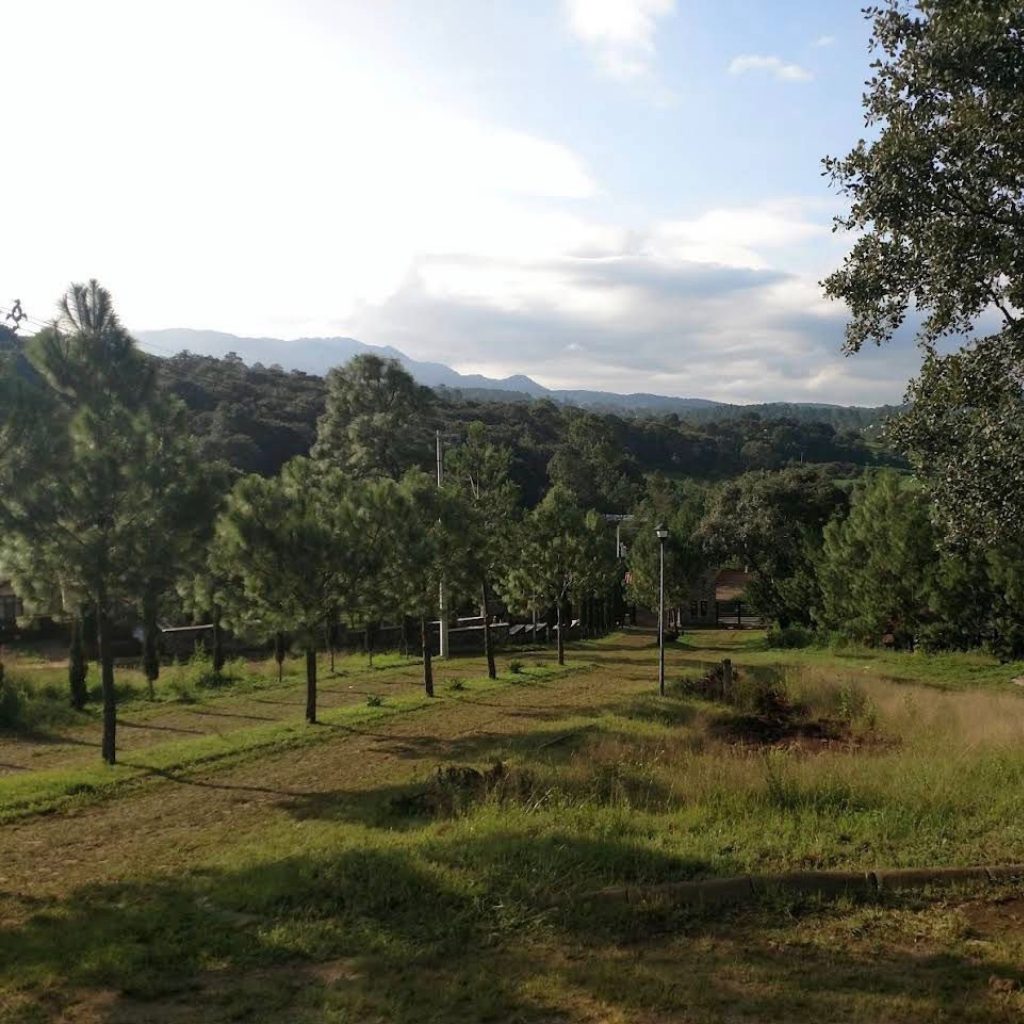 Terreno en venta en Jardín Real, Mazamitla 3