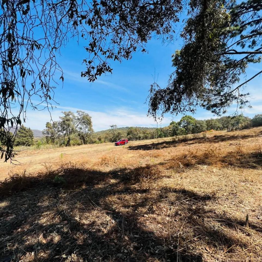 Terreno en venta en Jardín Real, Mazamitla 5